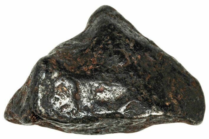 Agoudal Iron Meteorite ( g) - Morocco #303936